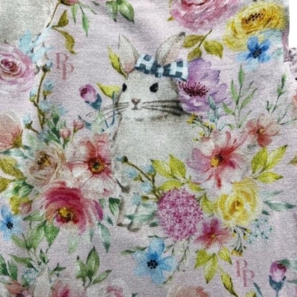 Posh Peanut Rose Ruffled Cap Sleeve Twirl Skirt Bodysuit Size 18-24 Months - Picture 3 of 6